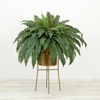 image:imageNearly Natural 32in Artificial Boston Fern Plant with Metal Planter with Stand DIY KIT