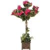 image:imageNearly Natural 34 in Artificial Bougainvillea Topiary with Wood Box