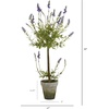image:imageNearly Natural 34 in Artificial Lavender Single Ball Topiary Fake Tree