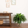 image:imageNearly Natural 35in Artificial Boston Fern Plant on Display Stand in Removal Brass Metal Planter Fake Ferns for Living Room Bedroom Office Home Dcor