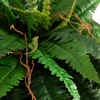 image:imageNearly Natural 35in Artificial Boston Fern Plant on Display Stand in Removal Brass Metal Planter Fake Ferns for Living Room Bedroom Office Home Dcor