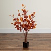 image:imageNearly Natural 3ft PreLit Autumn Eucalyptus Artificial Fall Tree with 80 Warm White LED Lights