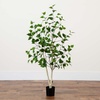 image:imageNearly Natural 4 ft Artificial Birch Tree RealTouch Leaves Indoor Plant4ft