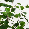 image:imageNearly Natural 4 ft Artificial Birch Tree RealTouch Leaves Indoor Plant5ft