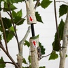 image:imageNearly Natural 4 ft Artificial Birch Tree RealTouch Leaves Indoor Plant6ft