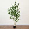 image:imageNearly Natural 4 ft Artificial Birch Tree RealTouch Leaves Indoor Plant6ft