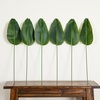 image:imageNearly Natural 40Inch Artificial Travelers Palm Stems  Set of 6