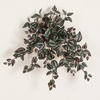 image:imageNearly Natural 41in UV Resistant Artificial Wandering Jew Hanging Plant IndoorOutdoor Set of 324in