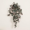 image:imageNearly Natural 41in UV Resistant Artificial Wandering Jew Hanging Plant IndoorOutdoor Set of 341in