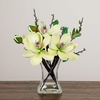 image:imageNearly Natural 4534WH Magnolia Arrangement with VaseWhite