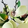 image:imageNearly Natural 4534WH Magnolia Arrangement with VaseWhite