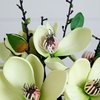 image:imageNearly Natural 4534WH Magnolia Arrangement with VaseWhite