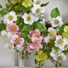 image:imageNearly Natural 4688 Dogwood Wreath 20Inch Assorted