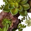 image:imageNearly Natural 4798 Artificial Succulent Wreath 15inch diameter Green20x20x20