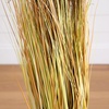 image:imageNearly Natural 4ft Artificial Pampas Grass  Lifelike Indoor Faux Plant for Home Dcor