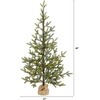 image:imageNearly Natural 4ft Fraser Fir Natural Look Artificial Christmas Tree with 100 Clear LED Lights a Burlap Base and 403 Bendable Branches
