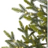 image:imageNearly Natural 4ft Fraser Fir Natural Look Artificial Christmas Tree with 100 Clear LED Lights a Burlap Base and 403 Bendable Branches