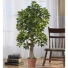 image:imageNearly Natural 4ft Schefflera Real Touch Silk Tree Green