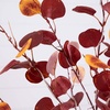 image:imageNearly Natural 5FT Prelit Artificial Autumn Eucalyptus Tree with 220 Warm White LED Lights Faux Eucalyptus Tree with Fall Colors for Home amp Office Dcor in Black Nursery Planter