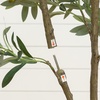 image:imageNearly Natural 6 ft Artificial Olive Tree in White Decorative Planter4ft