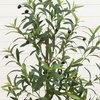 image:imageNearly Natural 6 ft Artificial Olive Tree in White Decorative Planter4ft