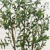 image:imageNearly Natural 6 ft Artificial Olive Tree in White Decorative Planter6ft