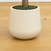 image:imageNearly Natural 6 ft Artificial Olive Tree in White Decorative Planter6ft