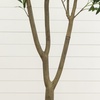 image:imageNearly Natural 6 ft Artificial Olive Tree in White Decorative Planter7ft
