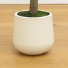 image:imageNearly Natural 6 ft Artificial Olive Tree in White Decorative Planter7ft