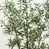 image:imageNearly Natural 6 ft Artificial Olive Tree in White Decorative Planter7ft