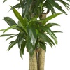 image:imageNearly Natural 62IN Artificial Corn Stalk Dracaena Plant Tall Fake Plant for Indoor Home Dcor Real Touch Faux Plant