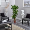 image:imageNearly Natural 62IN Artificial Corn Stalk Dracaena Plant Tall Fake Plant for Indoor Home Dcor Real Touch Faux Plant