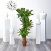 image:imageNearly Natural 62IN Artificial Corn Stalk Dracaena Plant Tall Fake Plant for Indoor Home Dcor Real Touch Faux Plant