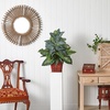 image:imageNearly Natural 6527 Greens with Wicker Decorative Silk Plant Green 30 in x 9 in x 75 inGreen