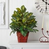 image:imageNearly Natural 6527 Greens with Wicker Decorative Silk Plant Green 30 in x 9 in x 75 inGreen