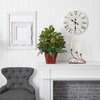 image:imageNearly Natural 6527 Greens with Wicker Decorative Silk Plant Green 30 in x 9 in x 75 inGreen