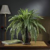 image:imageNearly Natural 6629 Boston Fern with Urn Decorative Silk Plant Green 10125 in x 10125 in x 29 in