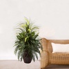 image:imageNearly Natural 6727 3ft Mixed Greens amp Cattails with Planter 26 x 26 x 36 inches GreenGreen