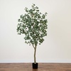 image:imageNearly Natural 7ft Artificial Greco Eucalyptus Tree