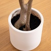 image:imageNearly Natural 7ft Artificial Olive Tree  Minimalist Faux Olive Plant with MultiTone Leaves Faux Olives and Bendable Branches Includes White Decorative Planter