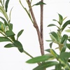 image:imageNearly Natural 7ft Artificial Olive Tree  Minimalist Faux Olive Plant with MultiTone Leaves Faux Olives and Bendable Branches Includes White Decorative Planter