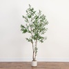 image:imageNearly Natural 7ft Artificial Olive Tree  Minimalist Faux Olive Plant with MultiTone Leaves Faux Olives and Bendable Branches Includes White Decorative Planter