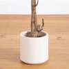 image:imageNearly Natural 7ft Artificial Olive Tree  Minimalist Faux Olive Plant with MultiTone Leaves Faux Olives and Bendable Branches Includes White Decorative Planter