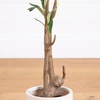 image:imageNearly Natural 7ft Artificial Olive Tree  Minimalist Faux Olive Plant with MultiTone Leaves Faux Olives and Bendable Branches Includes White Decorative Planter