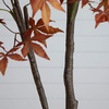 image:imageNearly Natural 7ft Autumn Japanese Maple Artificial Fall Tree  CopperyRed Foliage  Indoor Decor  No Maintenance