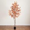 image:imageNearly Natural 7ft Autumn Japanese Maple Artificial Fall Tree  CopperyRed Foliage  Indoor Decor  No Maintenance