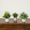 image:imageNearly Natural 8 in Artificial Mini Greenery Potted Plant Set of 3
