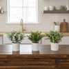 image:imageNearly Natural 8 in Artificial Mini Greenery Potted Plant Set of 3