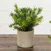 image:imageNearly Natural 8 in Artificial Mini Greenery Potted Plant Set of 3