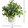 image:imageNearly Natural 8 in Artificial Mini Greenery Potted Plant Set of 3